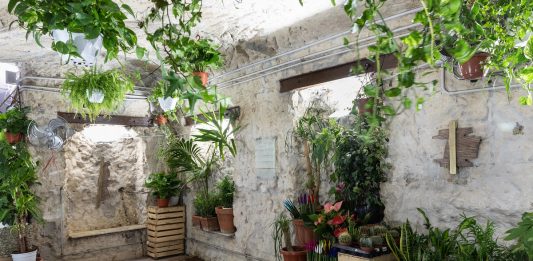 Elizabeth Orr & Micah Angelus nello spazio verde di Tarsia, a Napoli tarsia napoli