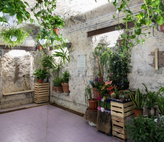 Elizabeth Orr & Micah Angelus nello spazio verde di Tarsia, a Napoli tarsia napoli