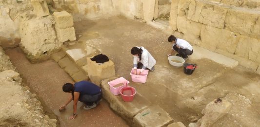 Pavimenti e mosaici pompeiani riemergono al Parco di Agrigento