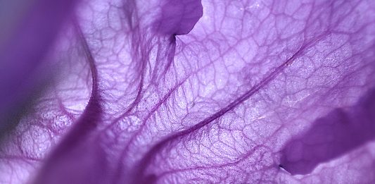 ‘Sensi Digitali’: ad Artissima la prima mostra d’arte prodotta da Xiaomi Italia