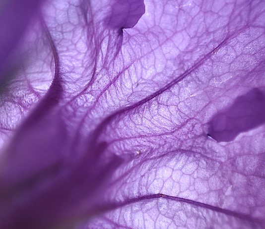 ‘Sensi Digitali’: ad Artissima la prima mostra d’arte prodotta da Xiaomi Italia