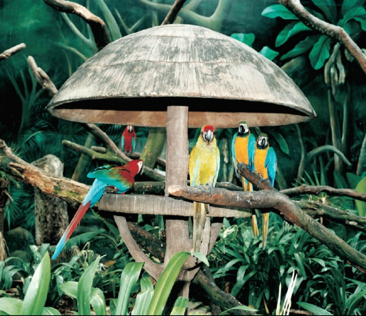 La performance come indagine, per la Giornata del Contemporaneo 2021