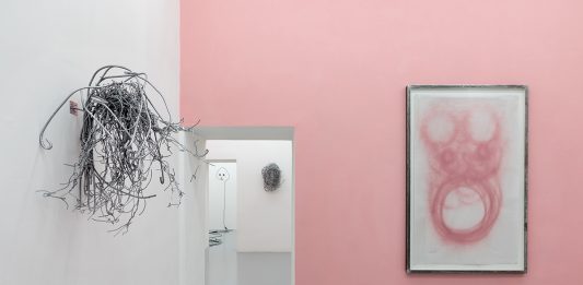 Alberto Tadiello, Chlamydomonas Nivalis – Galleria Umberto di Marino