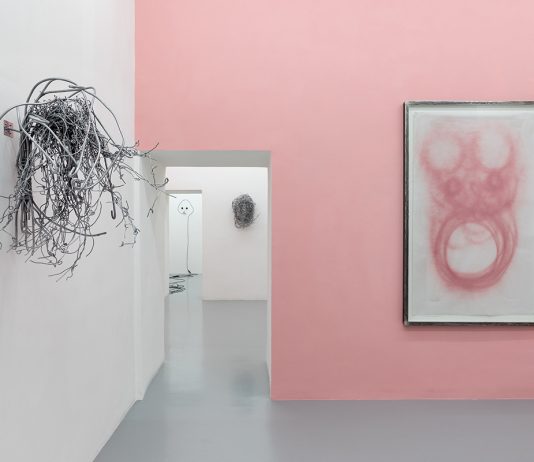 Alberto Tadiello, Chlamydomonas Nivalis – Galleria Umberto di Marino