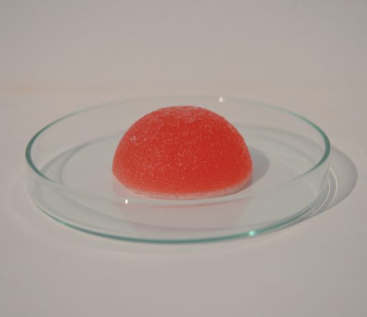 You Keep Me Under No Smell: una mostra-placebo sulla perdita dell’olfatto