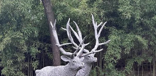 A Torino Villa Sanquirico apre al pubblico con le opere di 14 artisti, per tre giorni