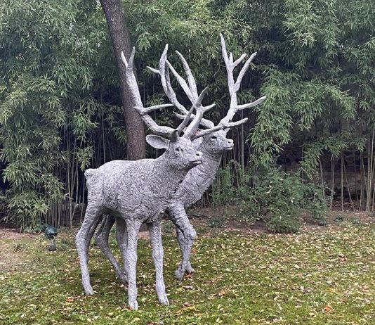 A Torino Villa Sanquirico apre al pubblico con le opere di 14 artisti, per tre giorni