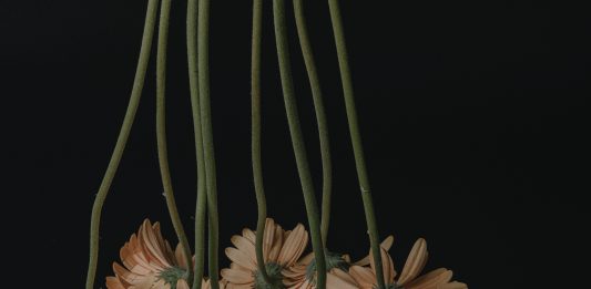 It’s a Mad, Mad, Mad, Mad World #27. Intervista a Giulio Bensasson