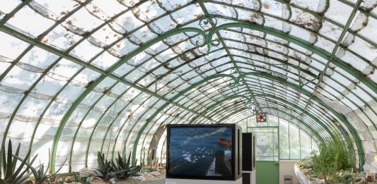 And the flowers too – Orto Botanico