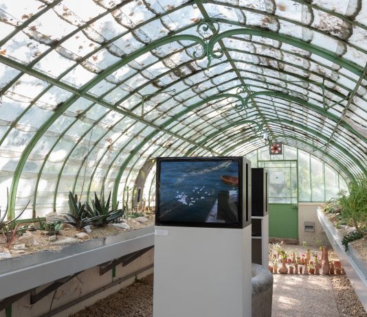 And the flowers too – Orto Botanico