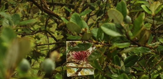 FUORILUOGO, Artist Camp