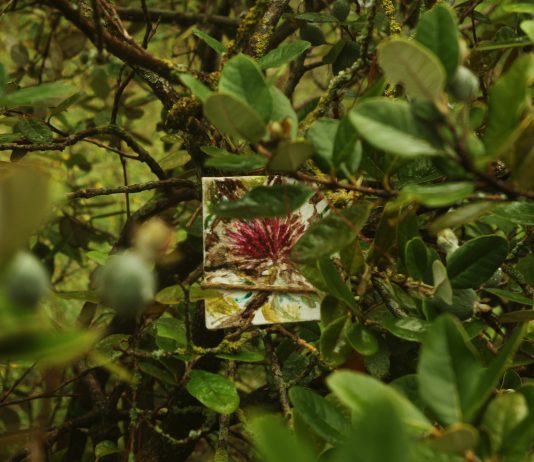 FUORILUOGO, Artist Camp