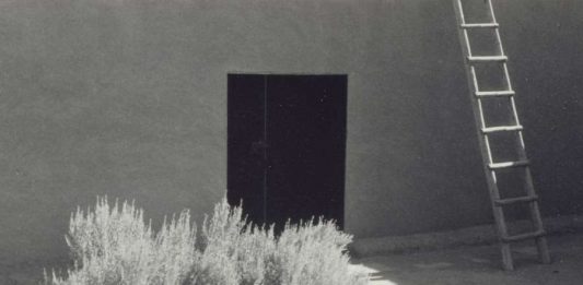 Le fotografie di Georgia O’Keeffe in mostra per la prima volta a Houston