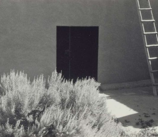 Le fotografie di Georgia O’Keeffe in mostra per la prima volta a Houston