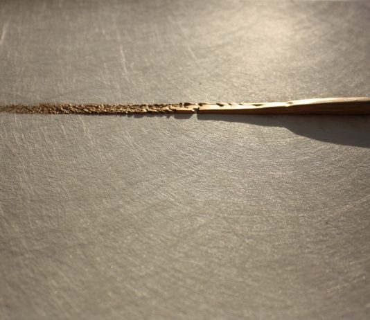 1000 Breath Paintings, Carlo Brandelli e Ewa Wilczynski – Volumnia