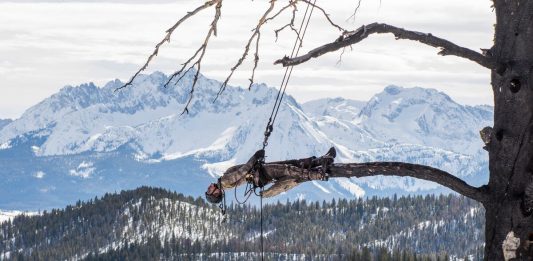 Storie di antropocene sensoriale: Matthew Barney a Lo Schermo dell’Arte