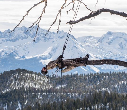 Storie di antropocene sensoriale: Matthew Barney a Lo Schermo dell’Arte
