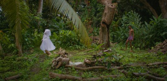 Una campagna di crowdfunding per il Padiglione Grenada alla Biennale d’Arte