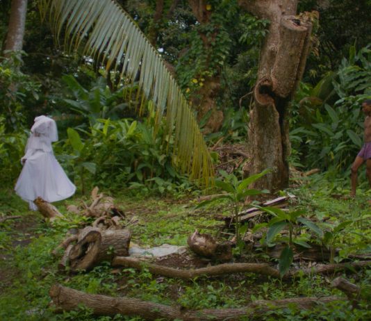 Una campagna di crowdfunding per il Padiglione Grenada alla Biennale d’Arte