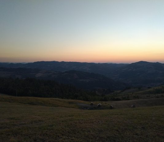 Prospettive dall’Emilia Romagna: le residenze d’artista oltre i confini