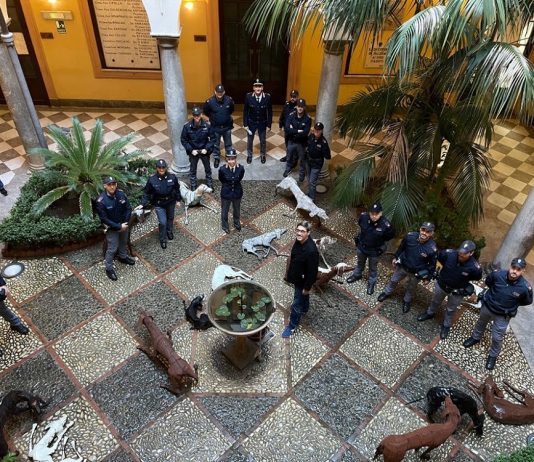 Il branco di Velasco Vitali arriva alla Questura di Palermo