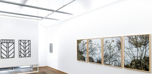 ‘Minimi naturali’: Marit Wolters e Andrea Pertoldeo a Metronom, Modena