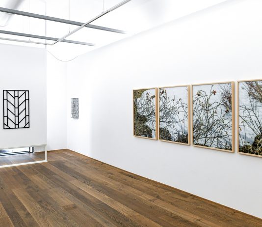 ‘Minimi naturali’: Marit Wolters e Andrea Pertoldeo a Metronom, Modena