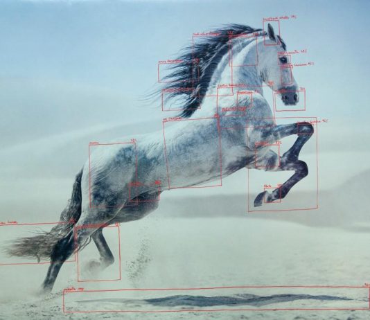 Fotografia e Arte Emergente: i vincitori del Premio Fabbri 2021