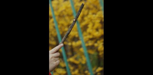 NABA presenta “Per un immaginario del vivere insieme. Itinerari nella/sulla Biennale Architettura 2021”