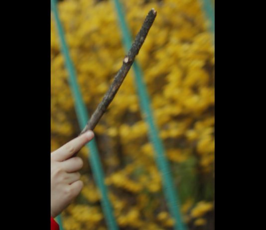 NABA presenta “Per un immaginario del vivere insieme. Itinerari nella/sulla Biennale Architettura 2021”