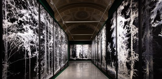 Quayola e la natura tecnologica. A Palazzo Cipolla