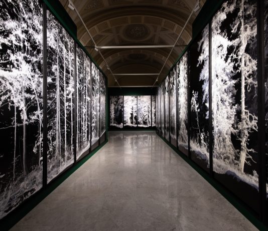 Quayola e la natura tecnologica. A Palazzo Cipolla