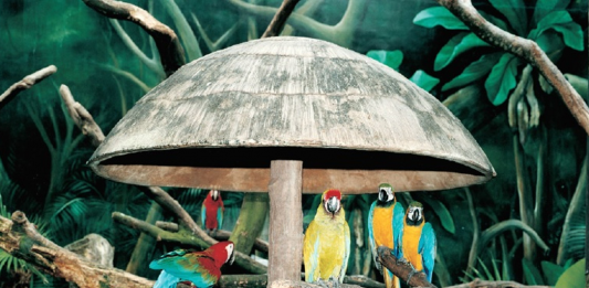 Giornata del Contemporaneo 2021: gli appuntamenti da non perdere