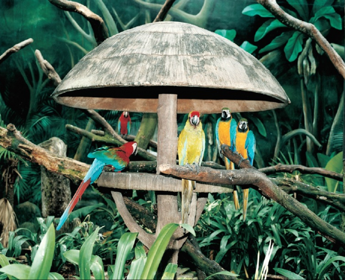 Armin-Linke-e1638278651287