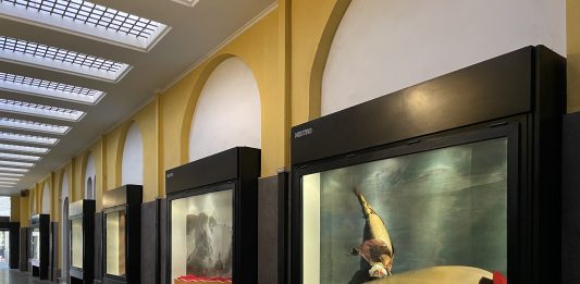 Lorenzo Vitturi, El camino y nada más – Neutro