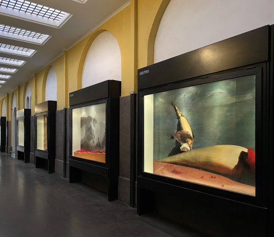 Lorenzo Vitturi, El camino y nada más – Neutro