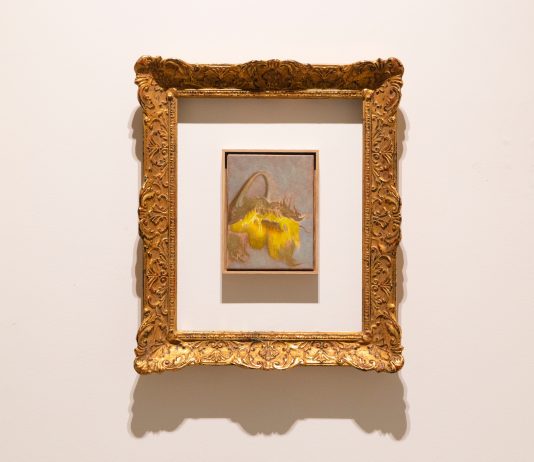 Paolo Pretolani con ‘Sono proprio io, ma diventato pazzo’ alla marina bastianello gallery, Mestre