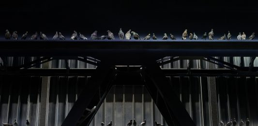 Cattelan? Ha potenziato l’HangarBicocca, sfidando Kiefer