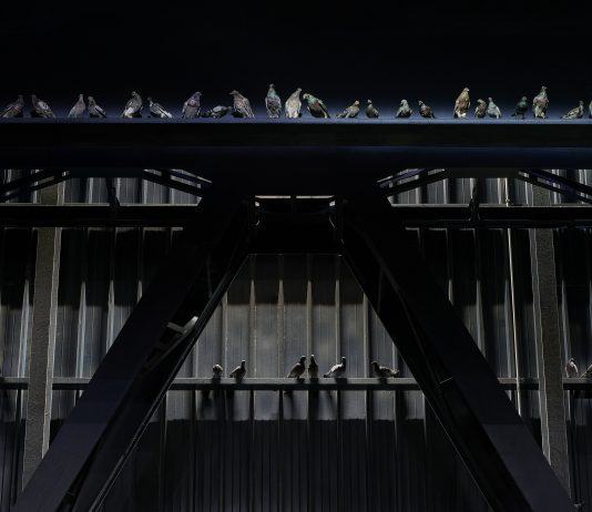 Cattelan? Ha potenziato l’HangarBicocca, sfidando Kiefer