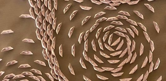 Riccardo Gusmaroli e Andrea Viviani per SuisseArt, Madonna di Campiglio (Trento)