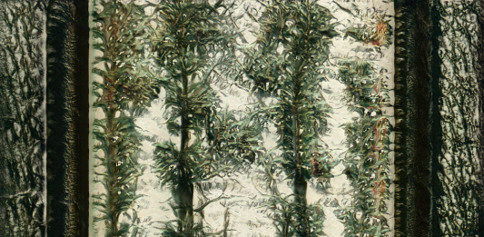 ‘das05 – Mutamenti. Metamorfosi sintetiche di fuse* e Francesca Pasquali’ a CUBO Unipol, Bologna