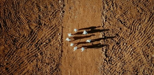 40 artisti per ripensare la natura (e l’arte): la mostra al Madre di Napoli Opera di Rethinking Nature al madre