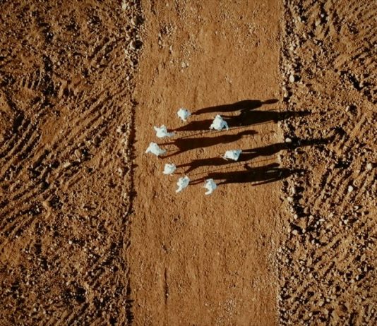 40 artisti per ripensare la natura (e l’arte): la mostra al Madre di Napoli Opera di Rethinking Nature al madre