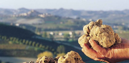 Il tartufo italiano e la calligrafia araba entrano nella Lista Unesco del Patrimonio tartufi patrimonio unesco