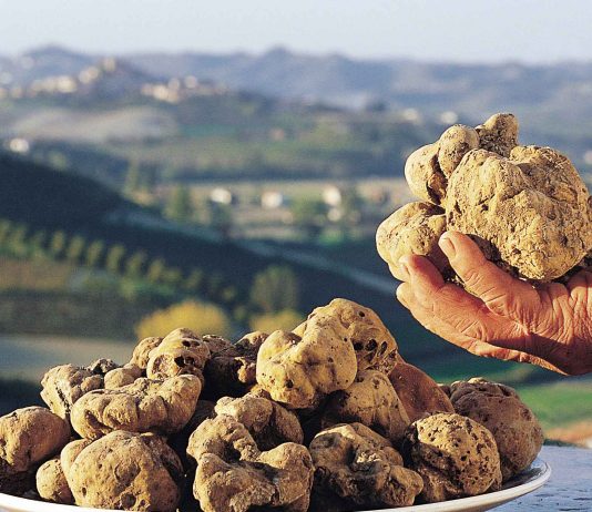 Il tartufo italiano e la calligrafia araba entrano nella Lista Unesco del Patrimonio tartufi patrimonio unesco