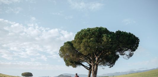 Roselena Ramistella – Studio Trisorio