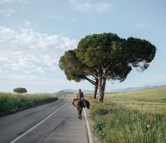 Roselena Ramistella – Studio Trisorio