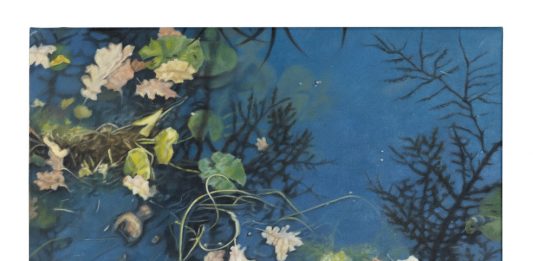 Elena Giustozzi, Inside – Musei Civici di Palazzo Buonaccorsi