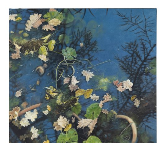 Elena Giustozzi, Inside – Musei Civici di Palazzo Buonaccorsi