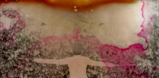 L’ambiente e la vita: visioni fotografiche in dialogo da Movimento Aperto, a Napoli